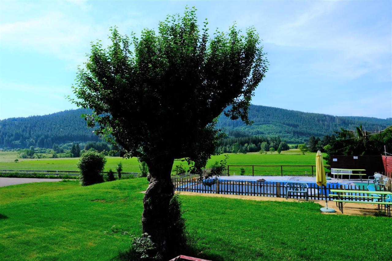 B Und B Titisee Hotel Sonnenmatte Nahe Badeparadies المظهر الخارجي الصورة